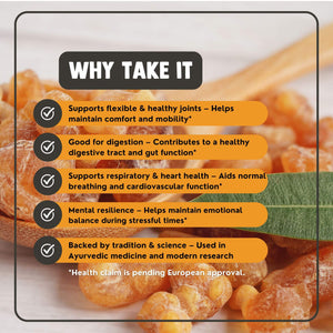 Boswellia Extract capsules 500 mg