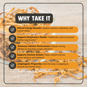 Cordyceps Pulver Bio