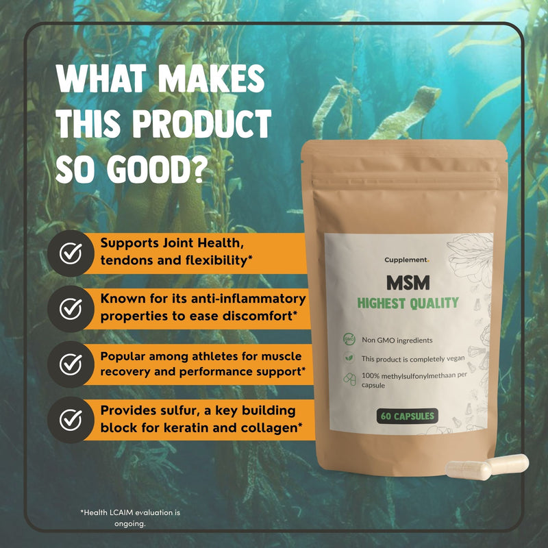 MSM Kapseln 500 mg