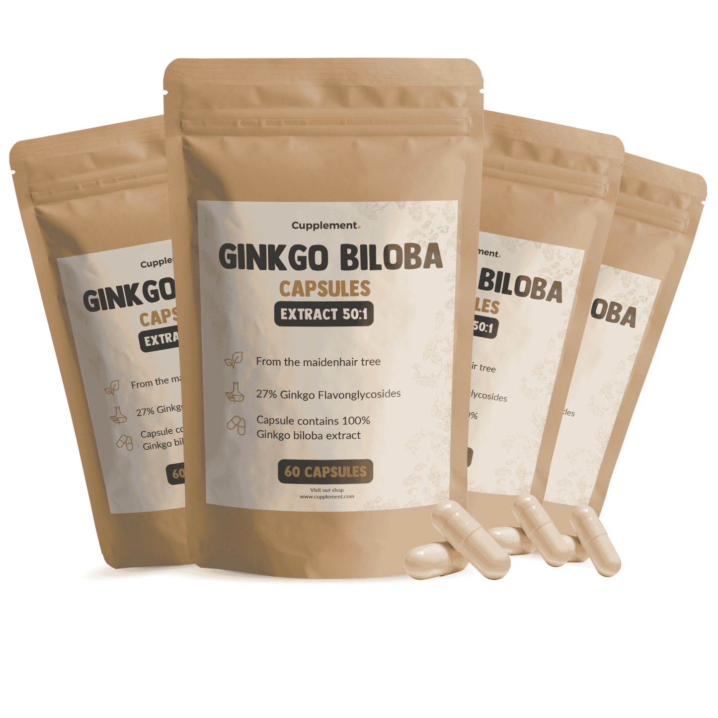 Ginkgo Biloba Extract Capsules Multipack Cupplement