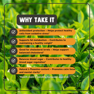 Green Tea Extract Capsules 500mg
