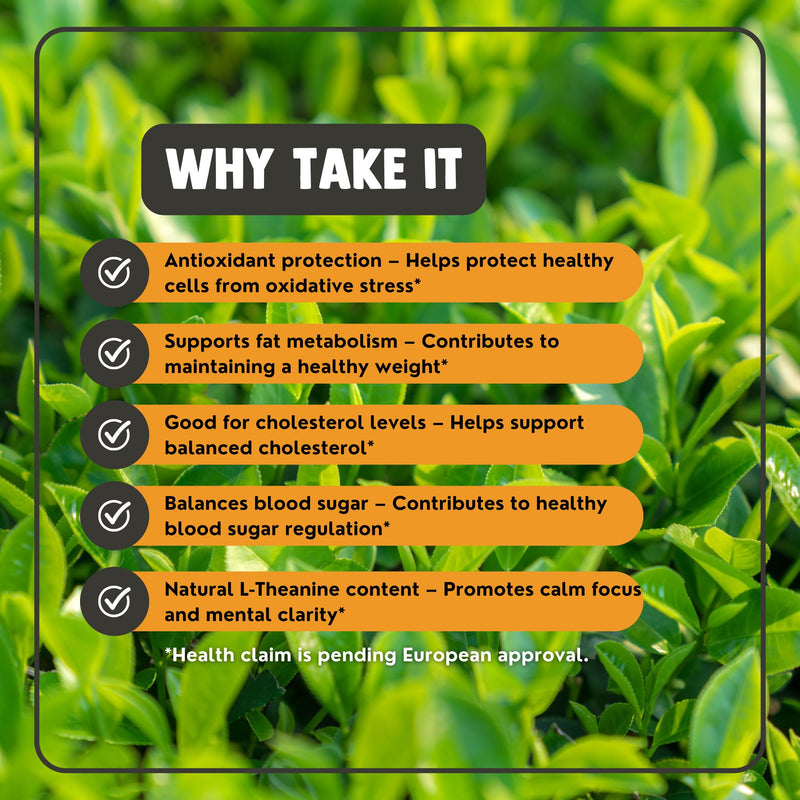 Green Tea Extract Capsules 500mg