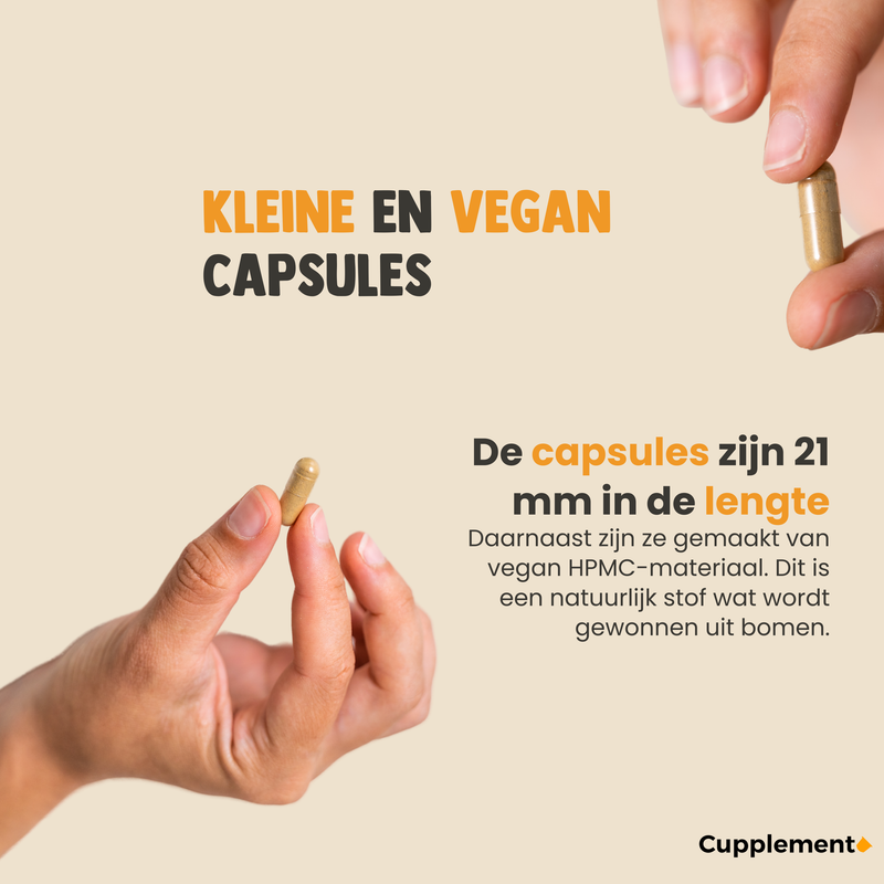 Psylliumvezels Capsules Biologisch