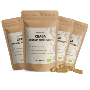 Chaga Kapseln 500 mg Bio