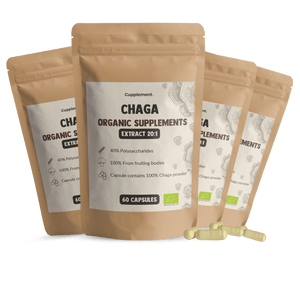 Chaga Extract Capsules 400 mg BIO