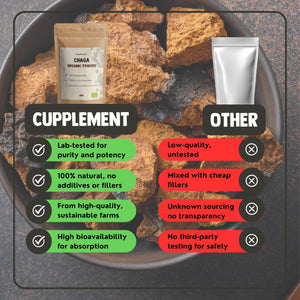Chaga Kapseln 500 mg Bio