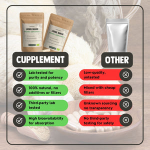 Lion's Mane Capsules 500 mg Biologisch