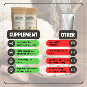 Lion's Mane Powder Organic