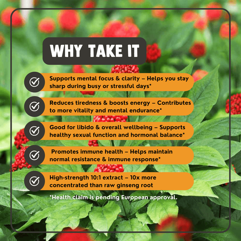 Panax Ginseng Extract Capsules 500mg