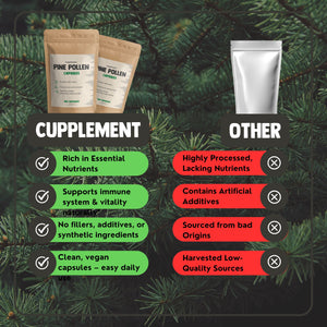 Pine pollen Capsules 500mg