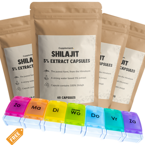 Shilajit-Extrakt (5 %) Kapseln 